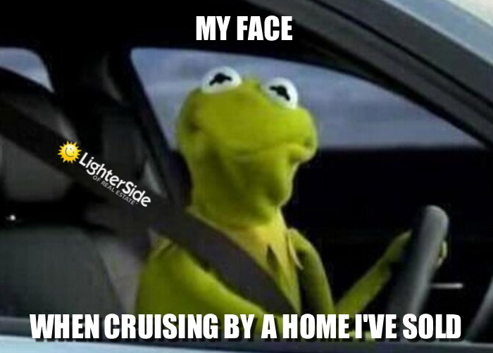 1-kermit-cruising