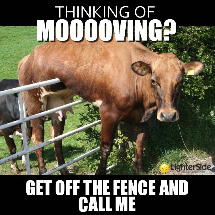 1-get-off-the-fence